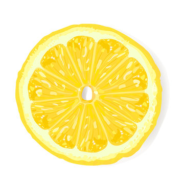 Lemon Slice, top view. Realistic illustration.