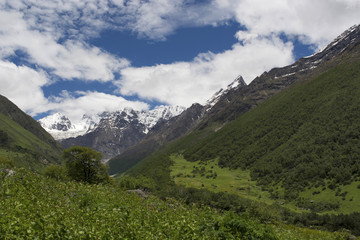Fototapeta na wymiar Landscape with mountain backdrop, Valley of Flowers, Uttarakhand, India