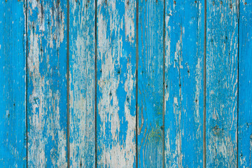 Fototapeta na wymiar old scratched weathered blue wooden planks background