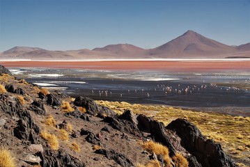 Laguna Colorada, Altiplano - Bolivien