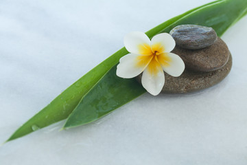 spa objects for relax massage on white marble background.