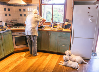 Dogs watching retired owner cooking roast meal for Sunday lunch in domestic kitchen at home
