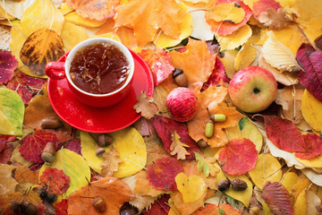  cup of tea on background autumn leaves