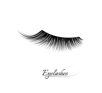 24,591 BEST Eyelash Extensions IMAGES, STOCK PHOTOS & VECTORS | Adobe Stock
