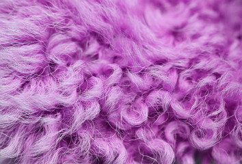 Obraz premium Close up of a pink dyed sheepskin rug as a background