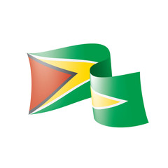 Obraz premium Guyana flag, vector illustration on a white background