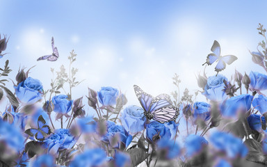 Panele Szklane  Bukiet róż z motylami, kwiaty ogrodowe. Tle kwiatów.