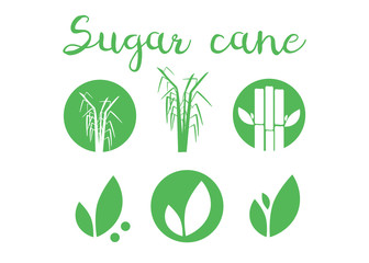Sugar cane flat icons set illustration vector. Sugar cane vector