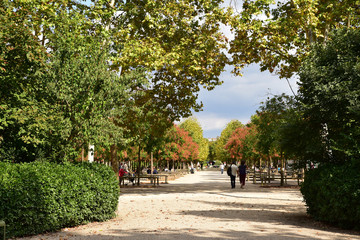 Allée au jardin du Luxembourg à Paris, France