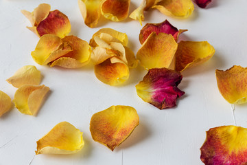 Naklejka premium rose petals on a light concrete background
