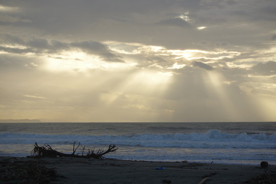 238 Best ヤコブの梯子 Images Stock Photos Vectors Adobe Stock