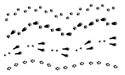 Paw vector foot trail print of dog, cat, bear, rabbit set. Silhouette animal diagonal tracks for t-shirts, patterns, showcases design, cards, child prints and etc. Paw brushes are in brush menu. © cheremuha