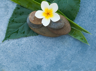 Obraz na płótnie Canvas spa tropical objects and stones for massage treatment on blue background. Top view.