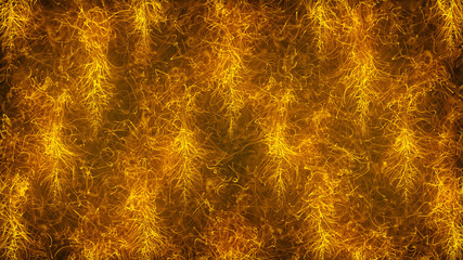 Gold Magic Abstract Background