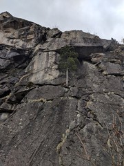 Maker:S,Date:2017-12-4,Ver:6,Lens:Kan03,Act:Lar02,E-Y