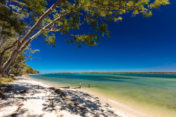 Beach with trees on the west side of Bribie Island, Queensland, Australia