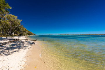 Beach with trees on the west side of Bribie Island, Queensland, Australia