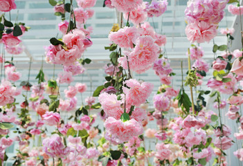 Sweet Upside down pink flowers hanging from ceiling.