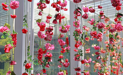 Fototapeta na wymiar Beautiful Upside down pink flowers hanging background.