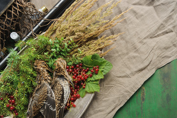 Wild hunting fowls in cooking. Two snipe or woodcock lie on metal dish. Hunting composition, outdoors. Wildfowl hunting.