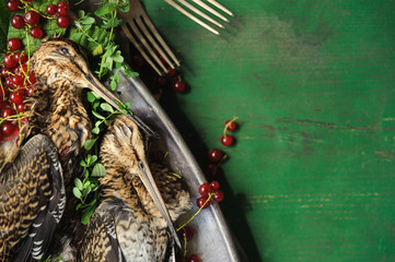 Wild hunting fowls in cooking. Two snipe or woodcock lie on metal dish. Hunting composition, outdoors. Wildfowl hunting.