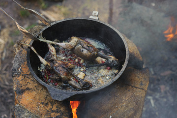 Cooking fried woodcock or snipe in hot butter with red currant. Outdoors. - obrazy, fototapety, plakaty