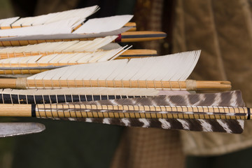 Medieval arrow fletchings or feathers traditionally attached with glue and thread they are used to...