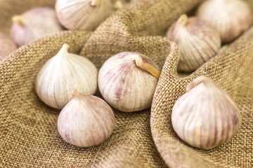 Garlic in the folds of linen fabric.