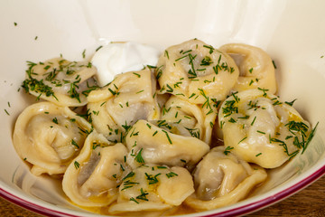 Russian cuisine - Dumplings