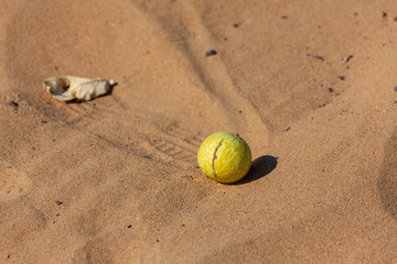 Desert in United Arab Emirates.