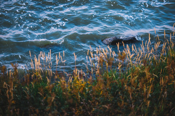 Beautiful nature of Georgia