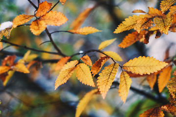 Beautiful nature of Georgia