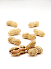 Peanuts on white ground