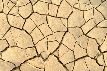 Land with dry ground shot from above in warm tint