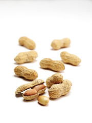 Peanuts on white ground