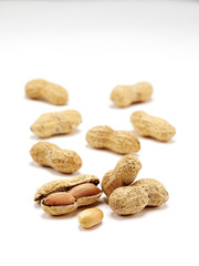 Peanuts on white ground