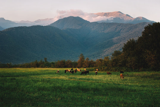 Beautiful nature of Georgia, Guria
