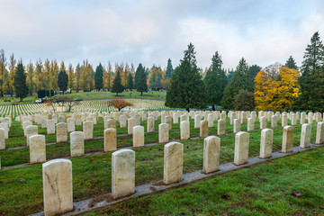 military tombstones in the grave yard.