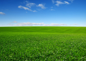 green field and clouds