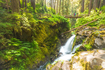scenic view of  Sol duc  water falls area  in mt Olympic National park,Washington,usa.