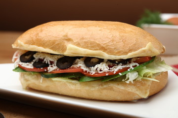 Vegetarian sandwich, ham sandwich, turkey sandwich, salami sandwich, franch sandwich, greek sandwich, italian sandwich, american sandwich, chicken sandwich