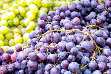 A bunch of ripe white and red table grapes 