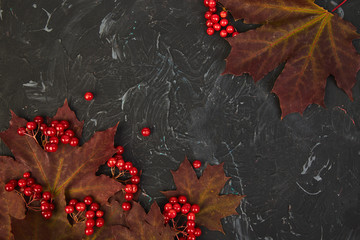 Autumn background with autumn maple red leaves and viburnum berries