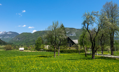 Fototapeta na wymiar Wonderful nature, Walking trips in Triglav National Park near Ukanc and Waterfall Slap Savica, Bohinj Valley and Lake, Upper Carniolan, Slovenia, Europe