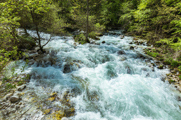 Wonderful nature, Walking trips in Triglav National Park near Ukanc and Waterfall Slap Savica, Bohinj Valley and Lake, Upper Carniolan, Slovenia, Europe