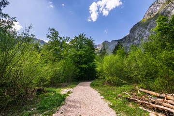 Fototapeta premium Wonderful nature, Walking trips in Triglav National Park near Ukanc and Waterfall Slap Savica, Bohinj Valley and Lake, Upper Carniolan, Slovenia, Europe