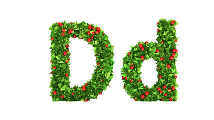 Summer berries font. 3d illustration, 3d rendering.