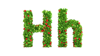 Summer berries font. 3d illustration, 3d rendering.