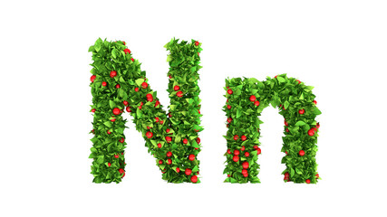 Summer berries font. 3d illustration, 3d rendering.