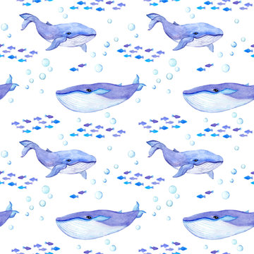 Whale animals. Sea seamless patterns with whales, fishes. Watercolor